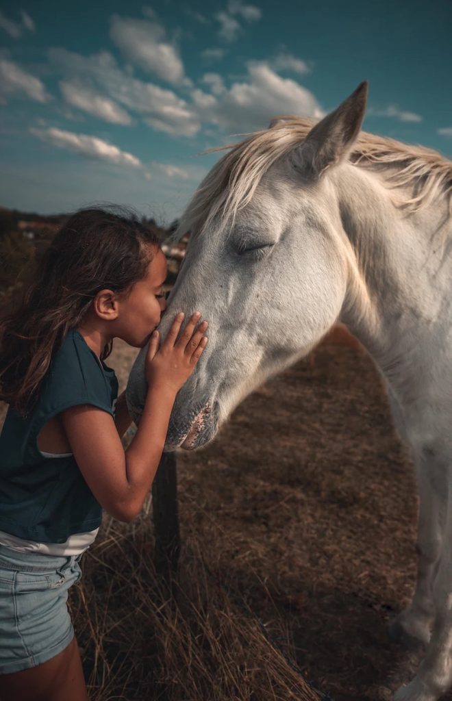 Do horses get sad